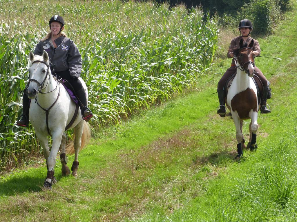 Gite Et Relais Equestre De Marie Tours-en-Vimeu Exteriér fotografie