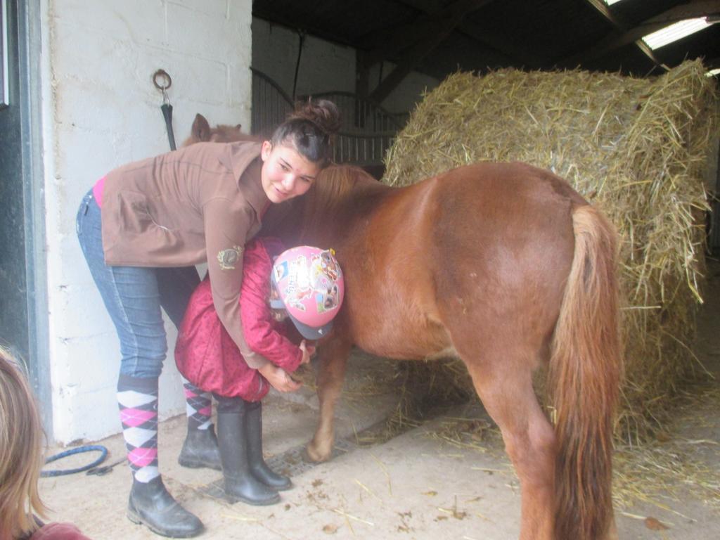 Gite Et Relais Equestre De Marie Tours-en-Vimeu Exteriér fotografie