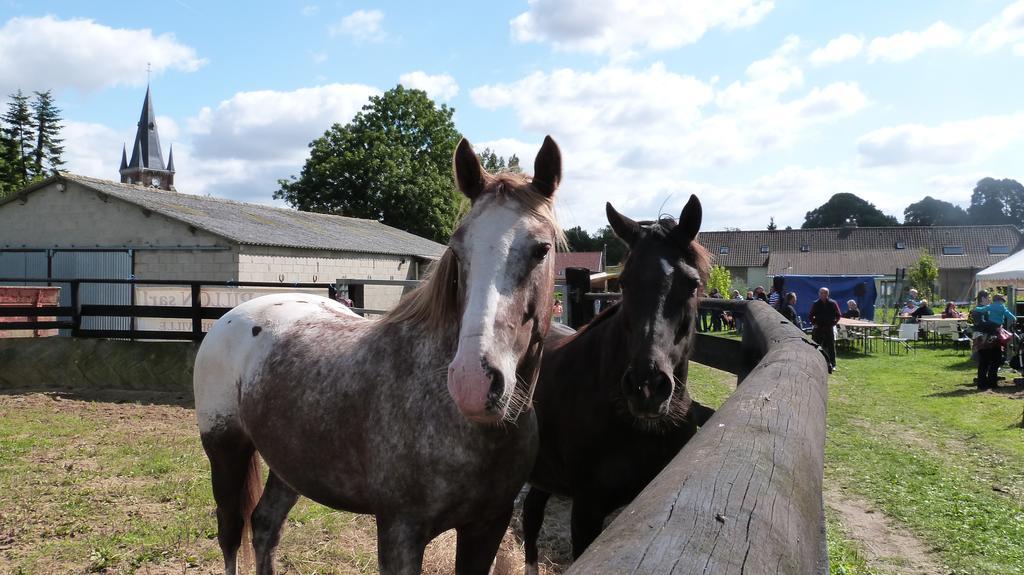 Gite Et Relais Equestre De Marie Tours-en-Vimeu Pokoj fotografie