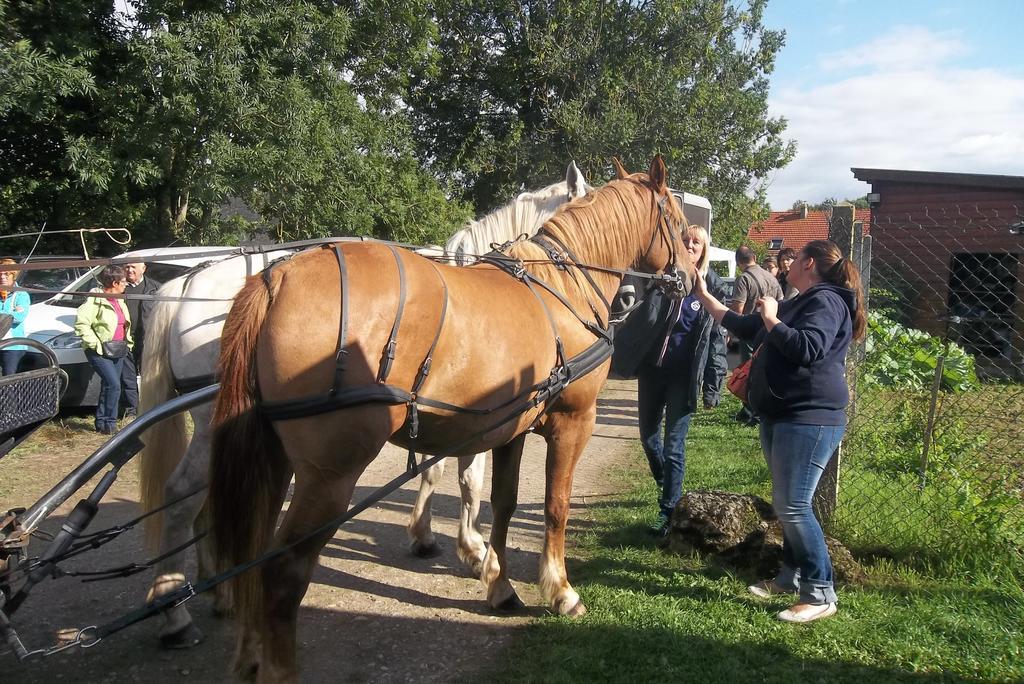 Gite Et Relais Equestre De Marie Tours-en-Vimeu Pokoj fotografie