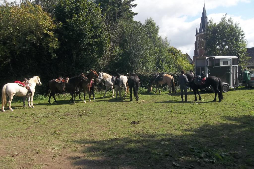 Gite Et Relais Equestre De Marie Tours-en-Vimeu Exteriér fotografie
