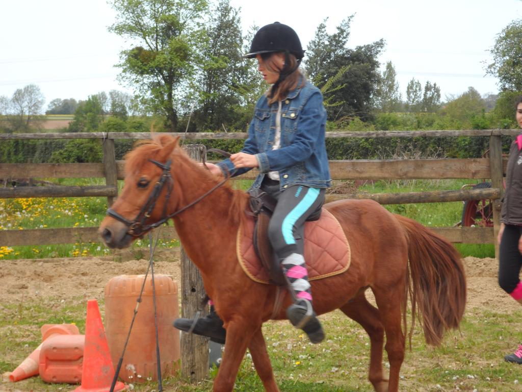 Gite Et Relais Equestre De Marie Tours-en-Vimeu Pokoj fotografie