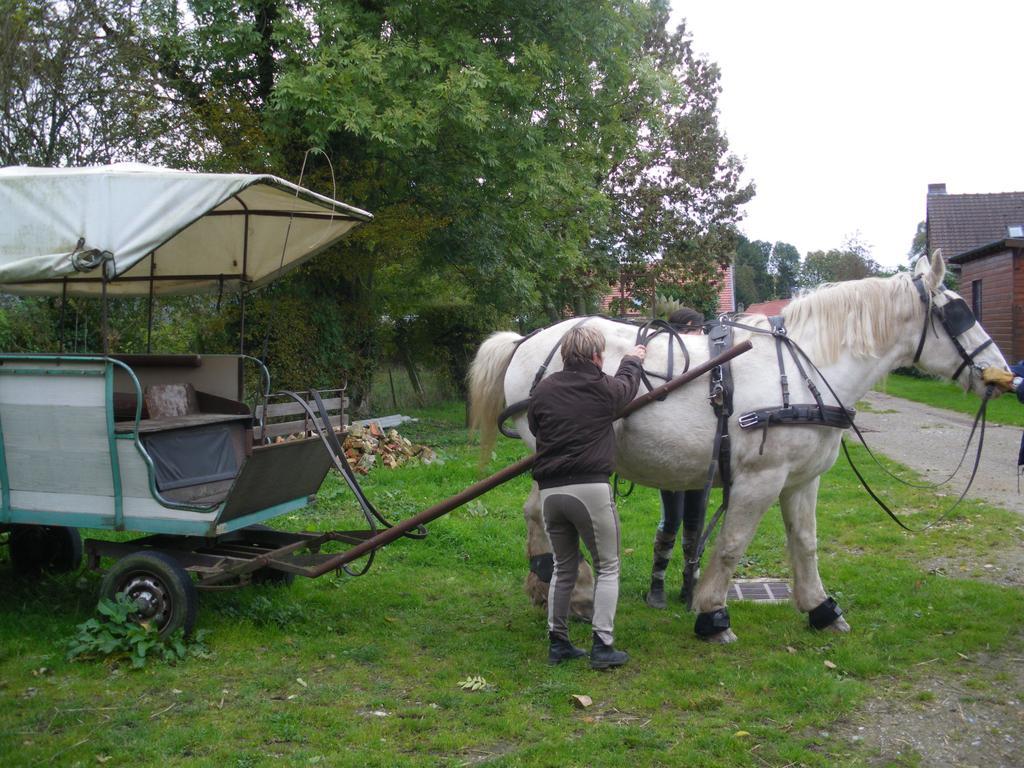 Gite Et Relais Equestre De Marie Tours-en-Vimeu Pokoj fotografie