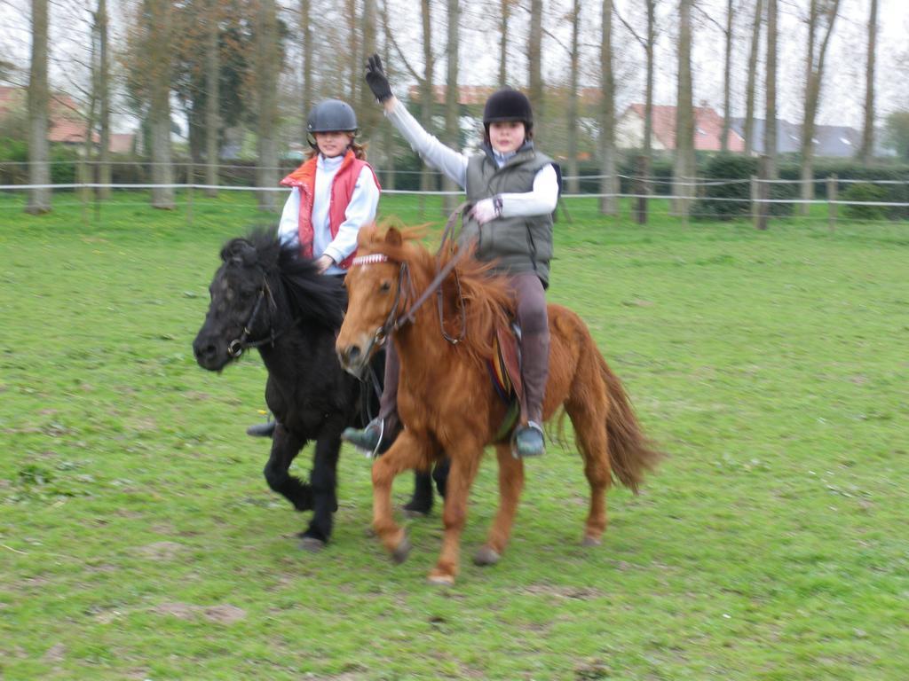 Gite Et Relais Equestre De Marie Tours-en-Vimeu Pokoj fotografie