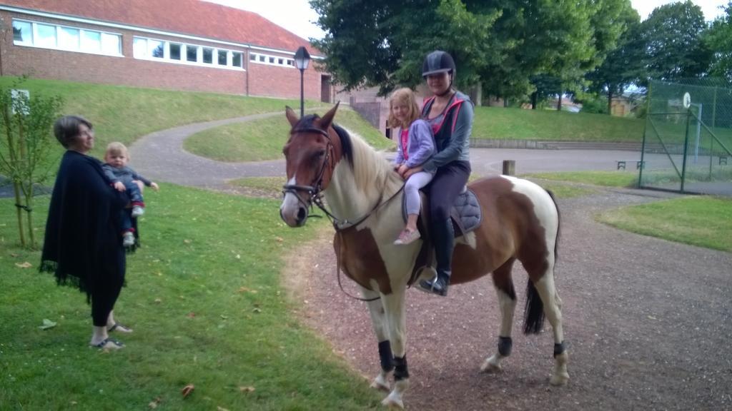 Gite Et Relais Equestre De Marie Tours-en-Vimeu Exteriér fotografie